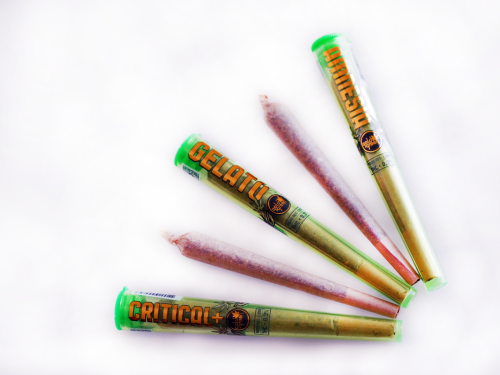 Tabarbara Cbd Orange Amnesia