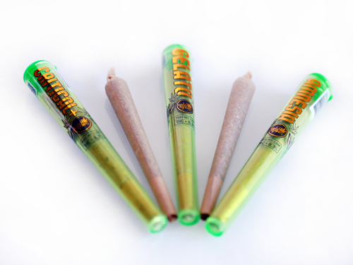 Tabarbara Cbd Orange Critical